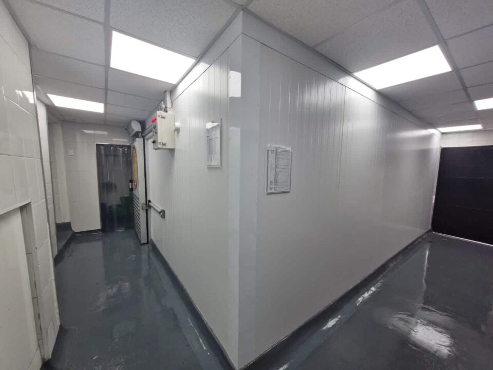 b1 e1736386768911